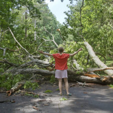Asheville, North Carolina, USA - May 23, 2014: A frustrated looking young woman confronts a large oak tree that has fallen across the road blocking her way