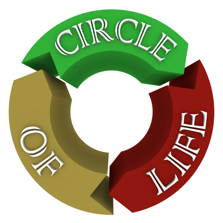 circle-of-life-arrows-in-circular-cycle-showing-connections-margaret