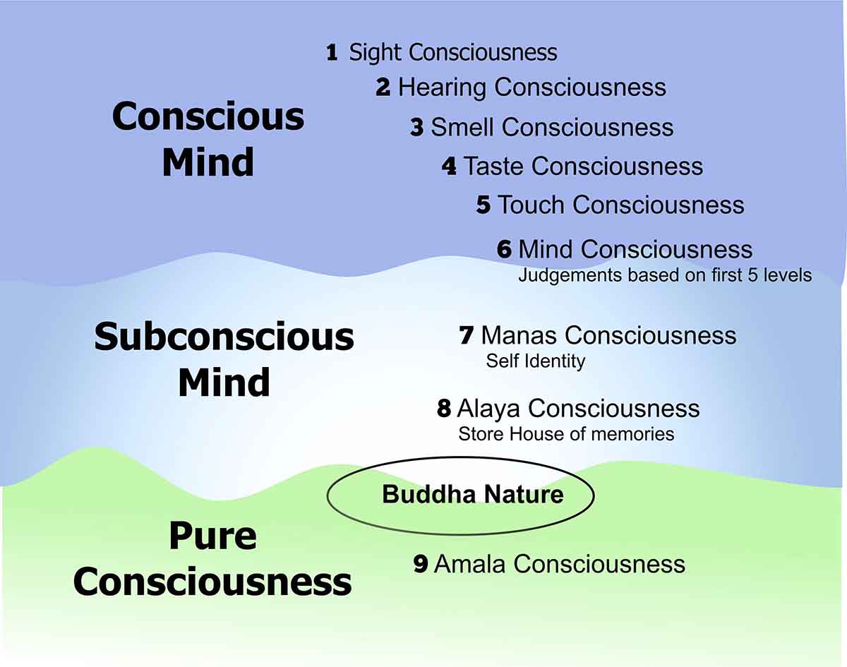 9 levels of consciousness.